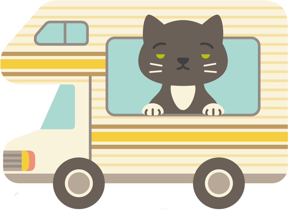 Chasing Booty Adventures - Black Cat (1200x792), Png Download