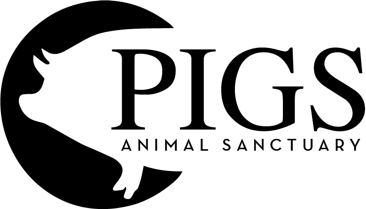 Pigs Animal Sanctuary - Pigs Logo (740x423), Png Download