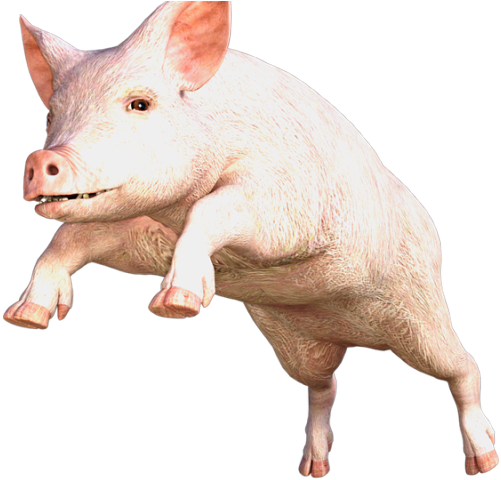 Pig Png Transparent Images - Pig Puns (640x480), Png Download