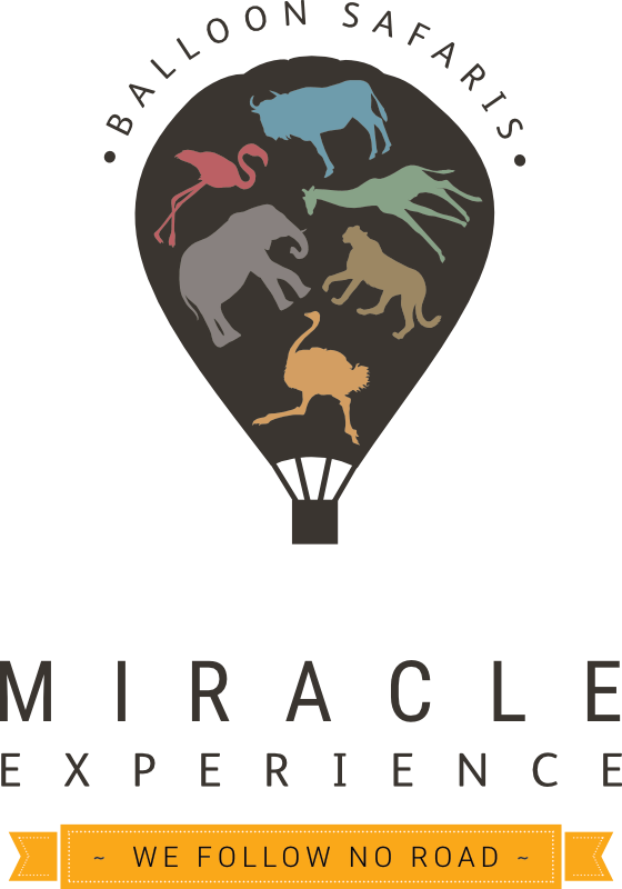 Hot Air Balloon - Miracle Experience (560x800), Png Download