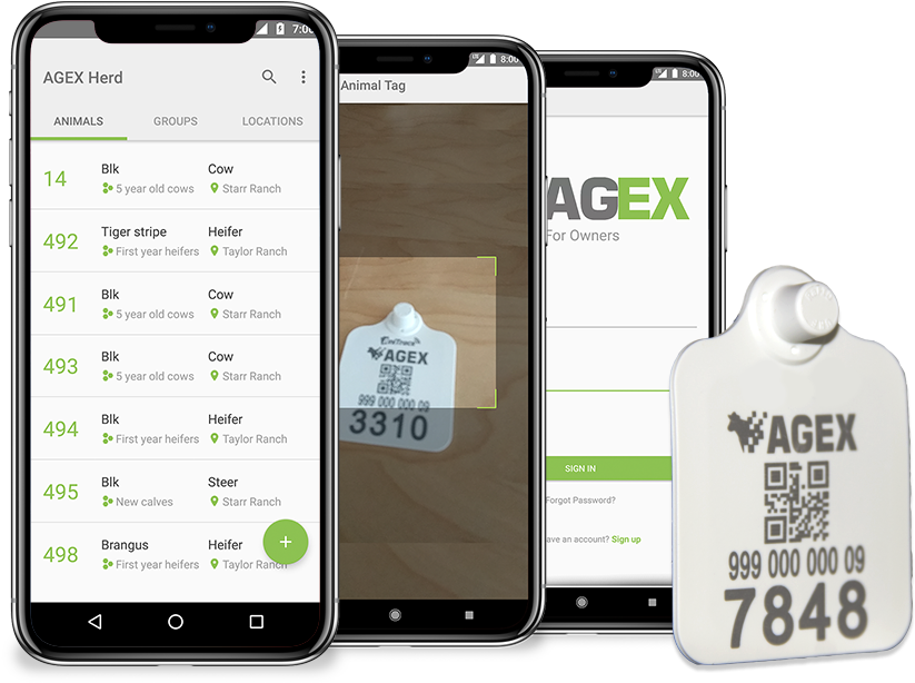 Herdsitemocup - Iphone (966x753), Png Download