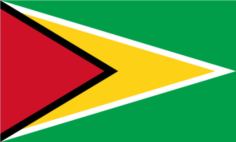 Tafelvlaggen Guyana 10x15cm - National Flag Of Guyana (800x800), Png Download