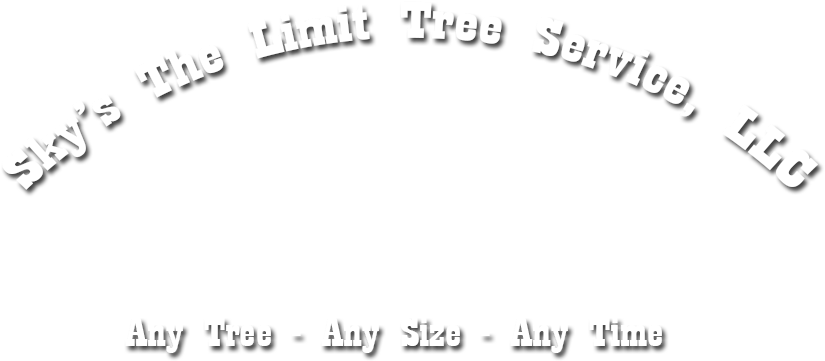 Say Goodbye To Stumps And A Bumpy Lawn - Circle (849x389), Png Download