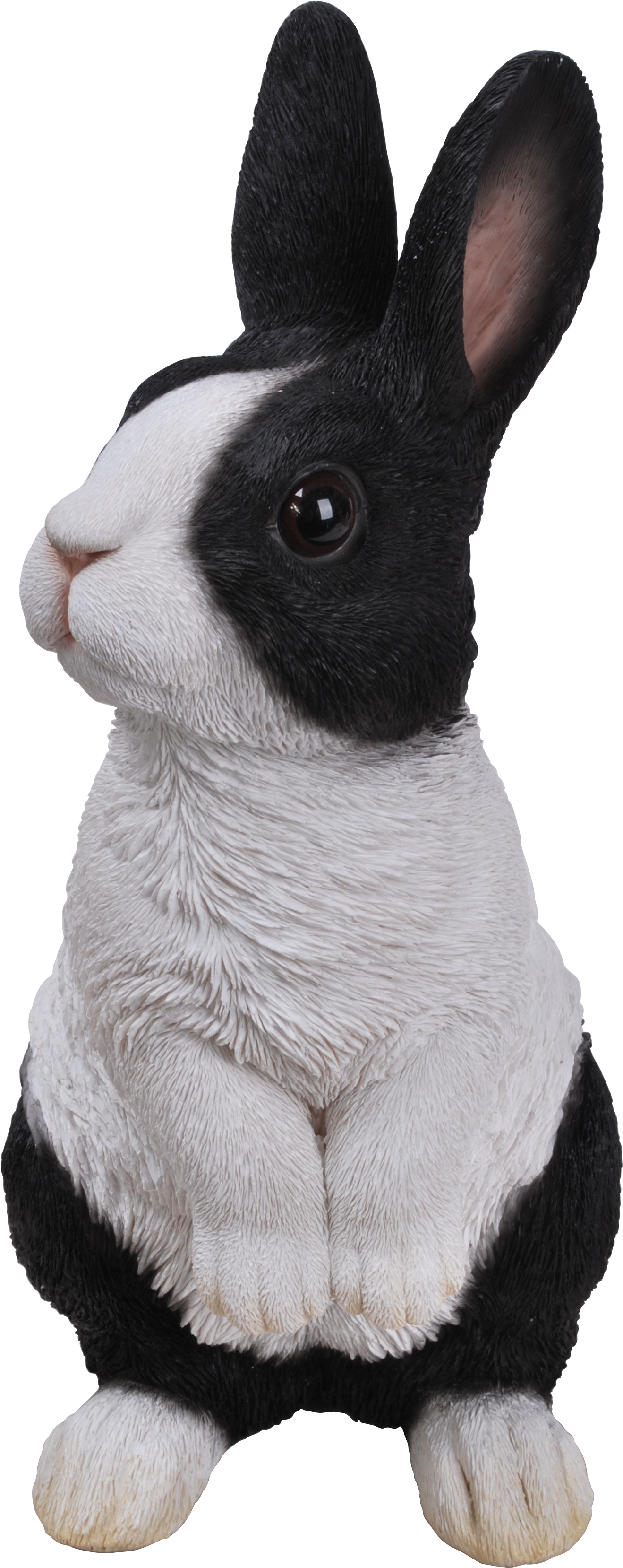 Standing Dutch Rabbit D - Dutch Rabbit Png (2592x3872), Png Download