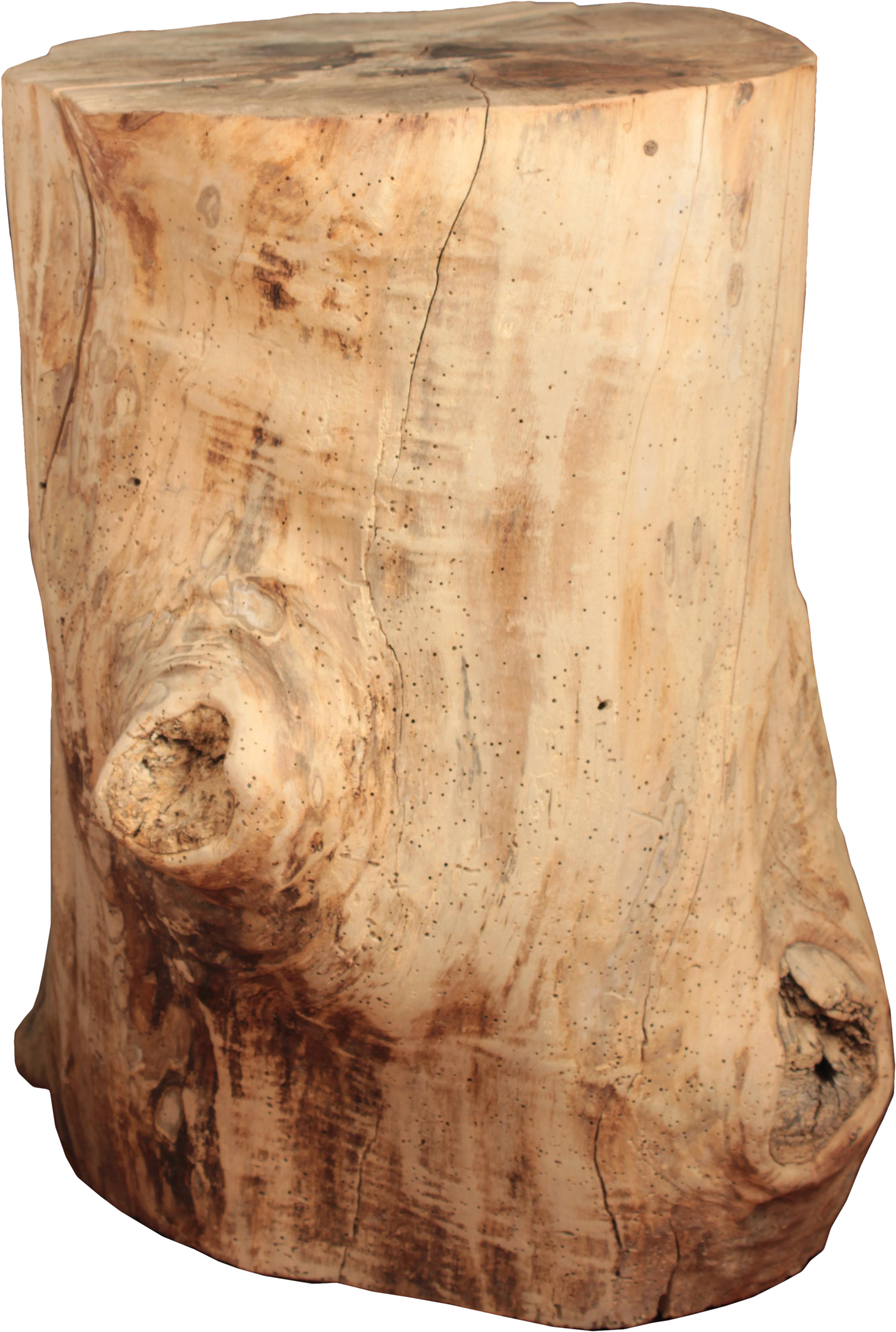 Hollow Tree Stump - Plywood (3124x4278), Png Download