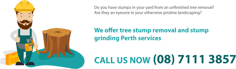 As Such, You Are Assured Of Affordable Stump Grinding - Services (1024x305), Png Download
