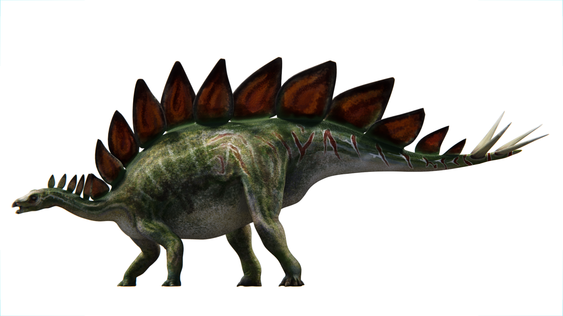 Stegosaurus - Stegosaurus Stenops Png (1920x1080), Png Download