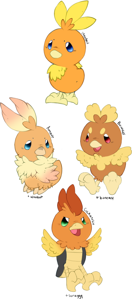 “remember Those Torchic Variants From A While Ago I - Torchic Variations (459x1036), Png Download
