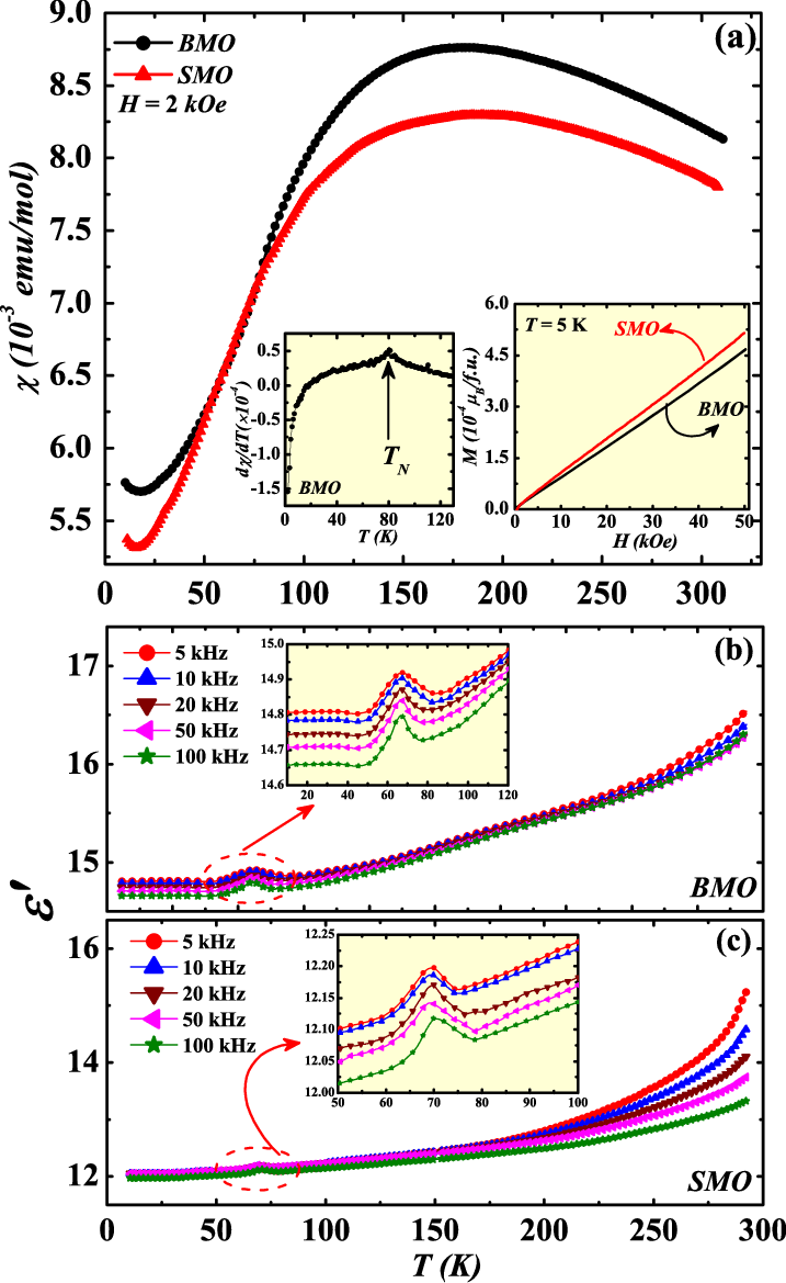 Shows The Temperature Variation Of Dc Magnetic Susceptibility - Diagram (717x1169), Png Download