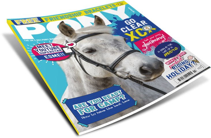 Magazine Png Free Photo - Stallion (767x514), Png Download