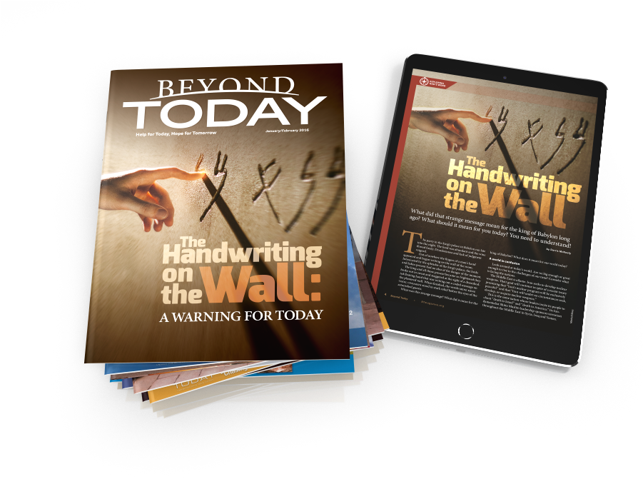 Flyer (900x726), Png Download