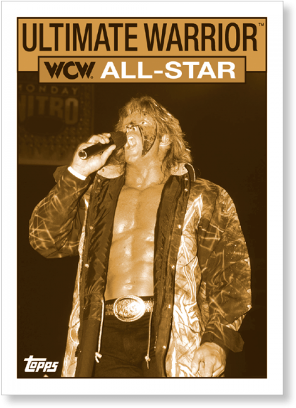 Gallery - Ultimate Warrior Wwe Magazine (700x700), Png Download