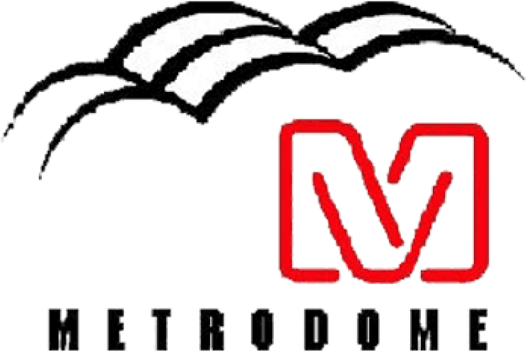 Minnesota Vikings Iron On Stickers And Peel-off Decals - Metrodome Logo (750x930), Png Download