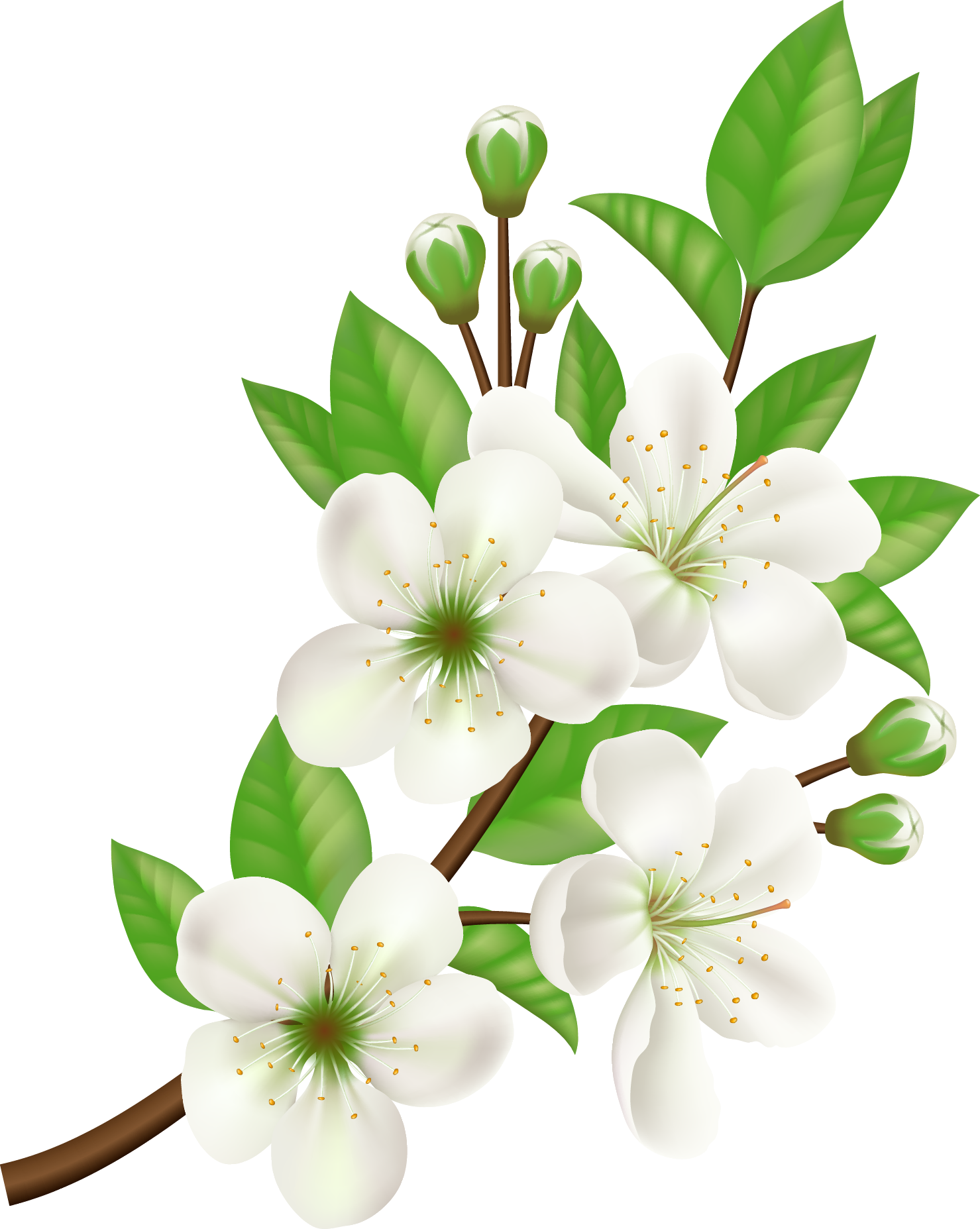 Royalty-free Computer Icons Flower - White Flower Vector Png (1479x1855), Png Download