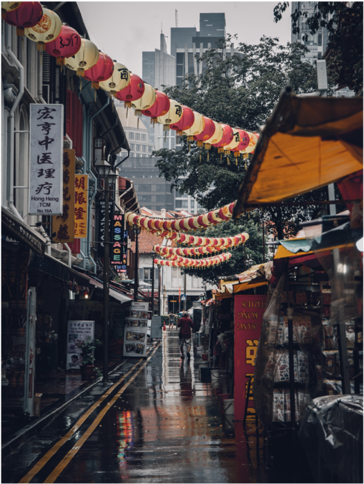 3-18 - Like Living In Singapore (1000x750), Png Download