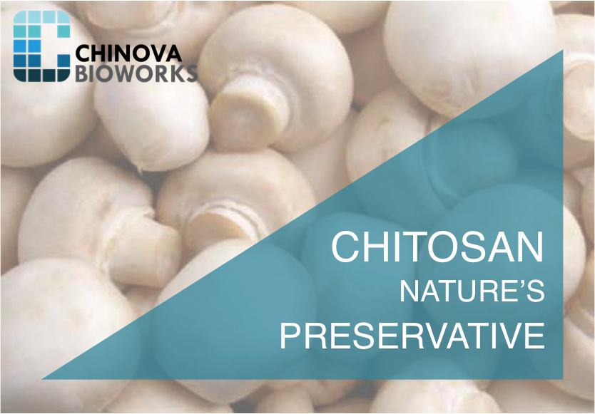Mushroom Chitosan Offers Clean Label Products - Hampshire Fire And Rescue Service (834x581), Png Download
