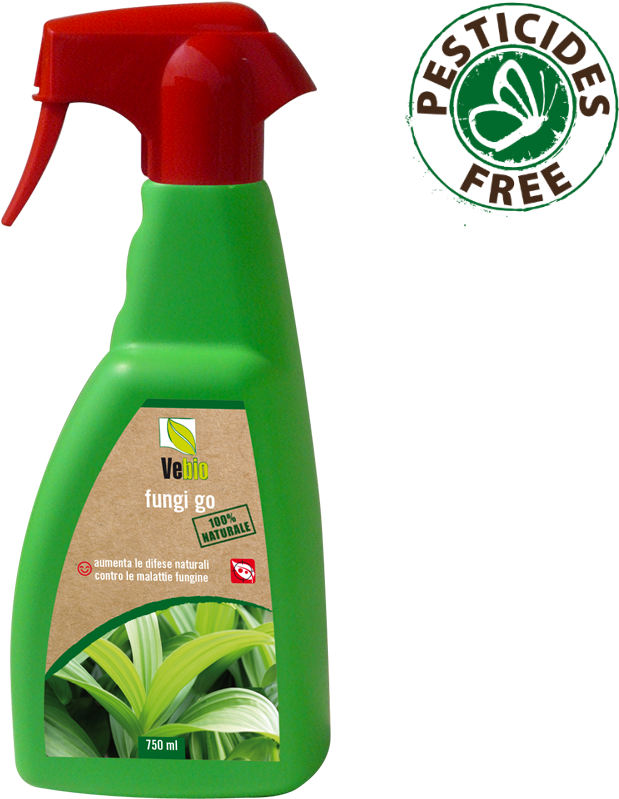 Fungi Go - Aloe (800x800), Png Download