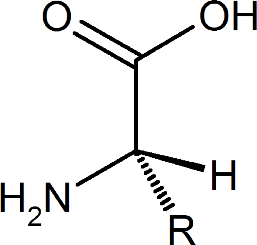 Amino Acid General Structure - Methylthio Methane (1000x926), Png Download