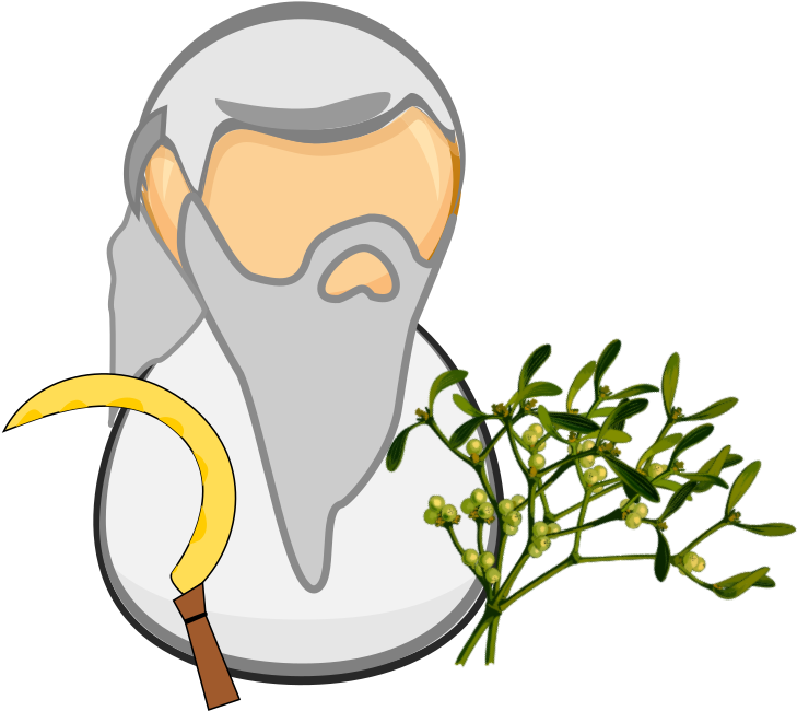 Medium Image - Druid Clipart (800x683), Png Download