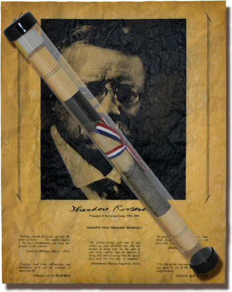 Thoughts From Theodore Roosevelt - Missile (519x616), Png Download