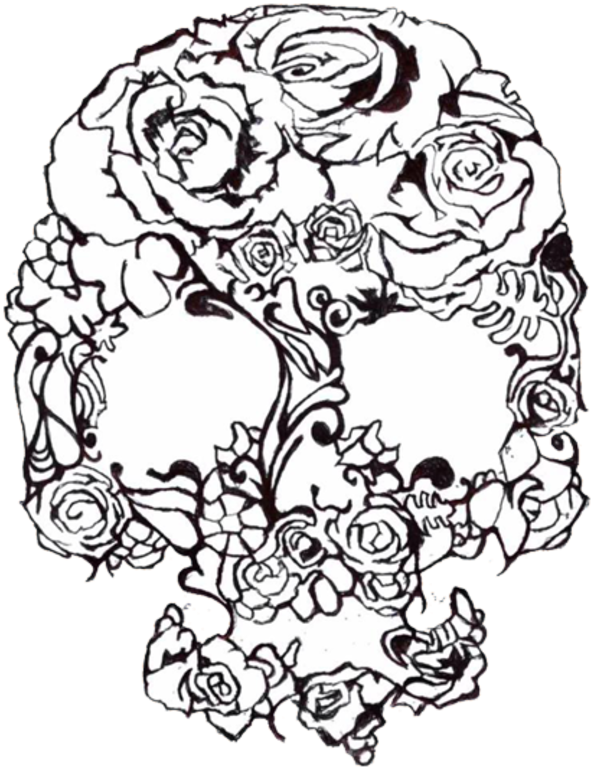 800 X 800 4 - Sketch (800x800), Png Download