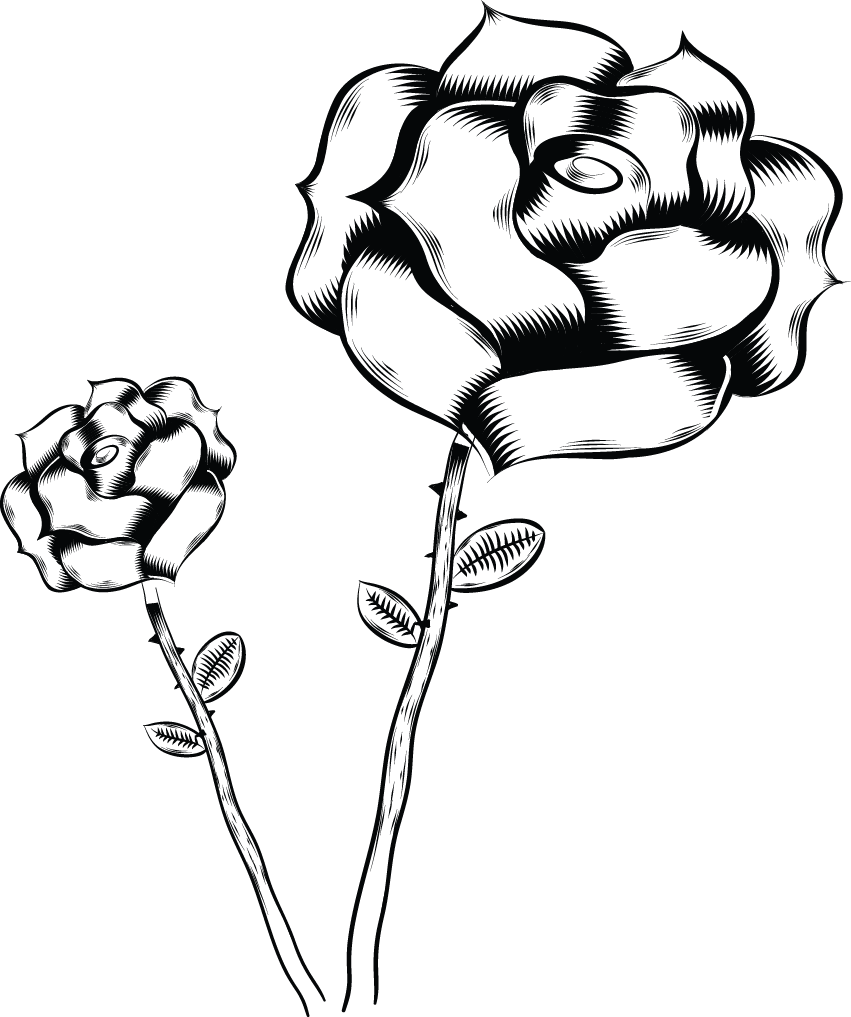 851 X 1017 1 - Flower (851x1017), Png Download