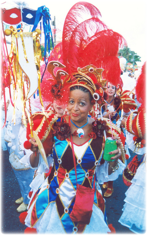 Image Details - Carnival (480x765), Png Download
