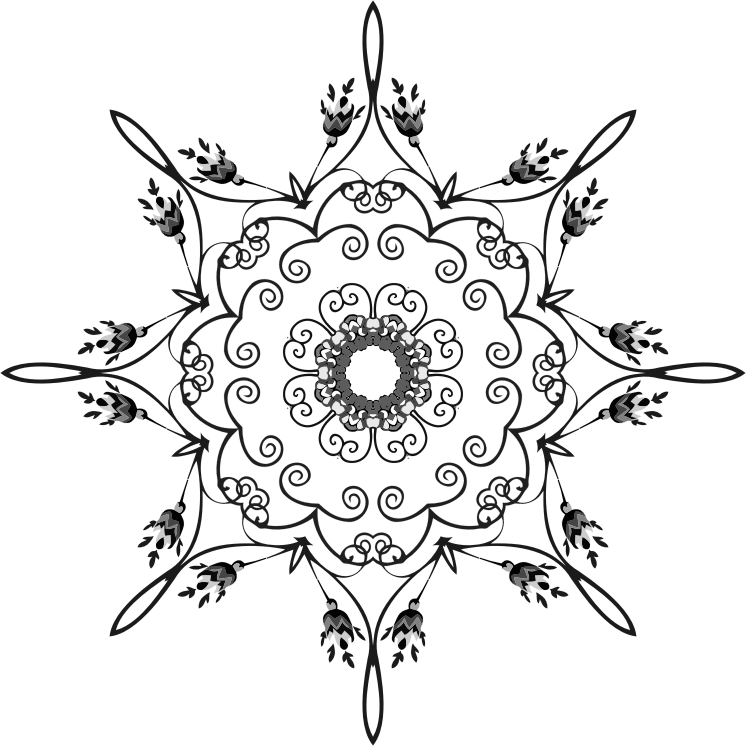 Medium Image - Coloring Book (746x746), Png Download