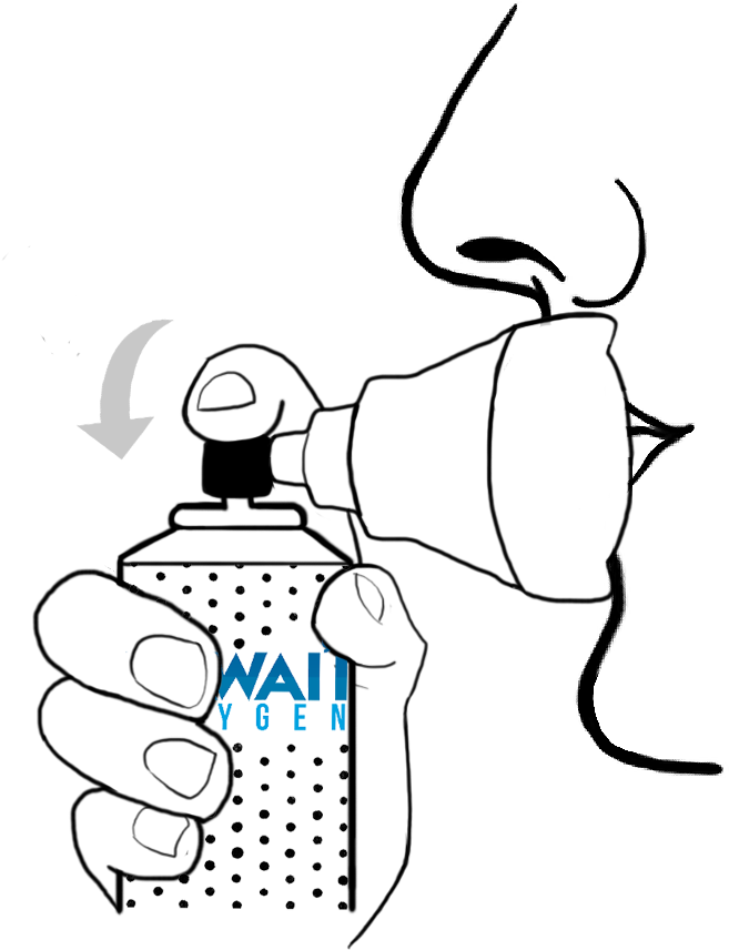 5 Liter Gas Can, 5 Liter Gas Can Suppliers And Manufacturers - Illustration (1000x1000), Png Download