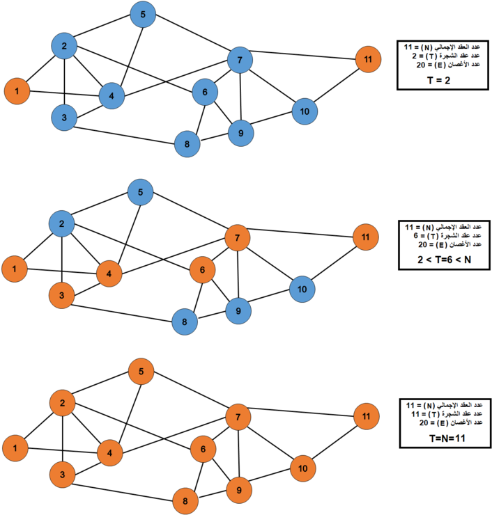 Spanining Tree Calculation Cases - Diagram (731x768), Png Download