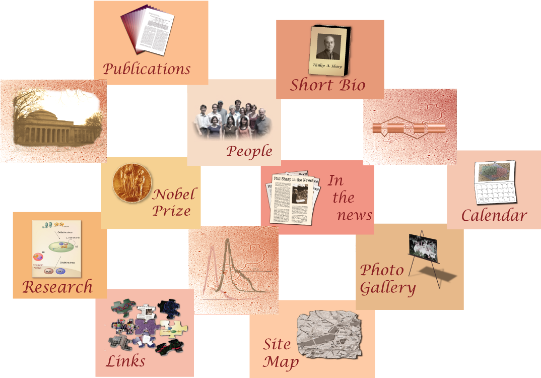 Supplementary Data Phil Sharp's Cv 30th Reunion Picsp-day - Paper (1075x762), Png Download