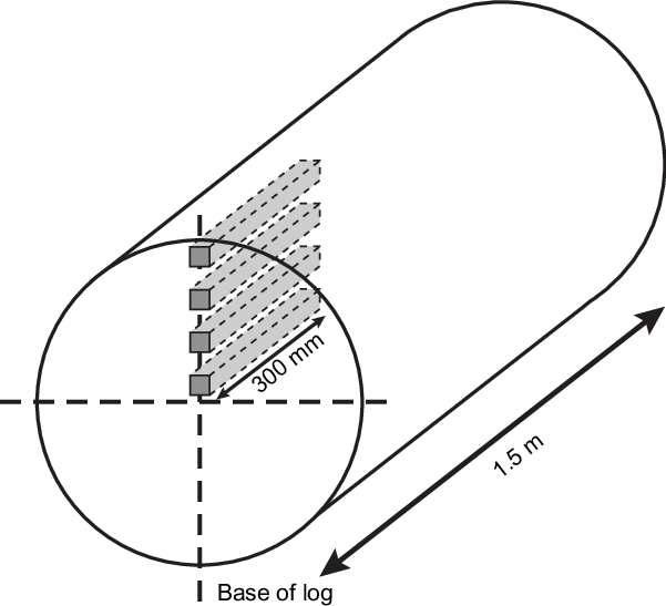 Cutting Pattern For The Small Clear Wood Samples - Circle (601x547), Png Download