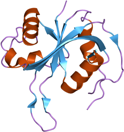 Pdb 2zbn Ebi (800x600), Png Download