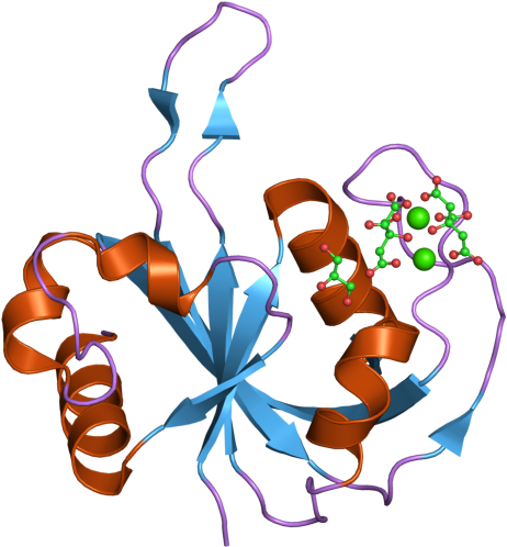Pdb 2hd9 Ebi - Illustration (800x600), Png Download