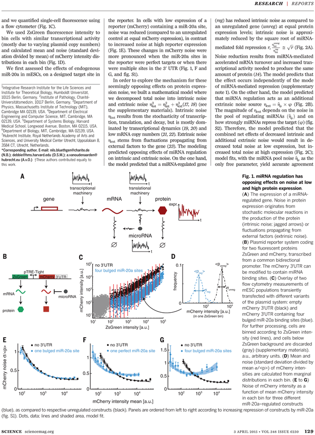 Back Issues - Text Page - Holy Land - The Necropolis (729x929), Png Download