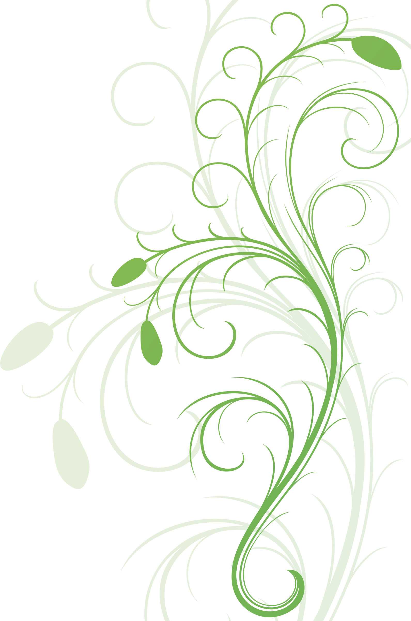 Simple Flower Flourishes Clip Art Pictures To Pin On - Desain Grafis Bunga Abstrak Png (1591x2400), Png Download