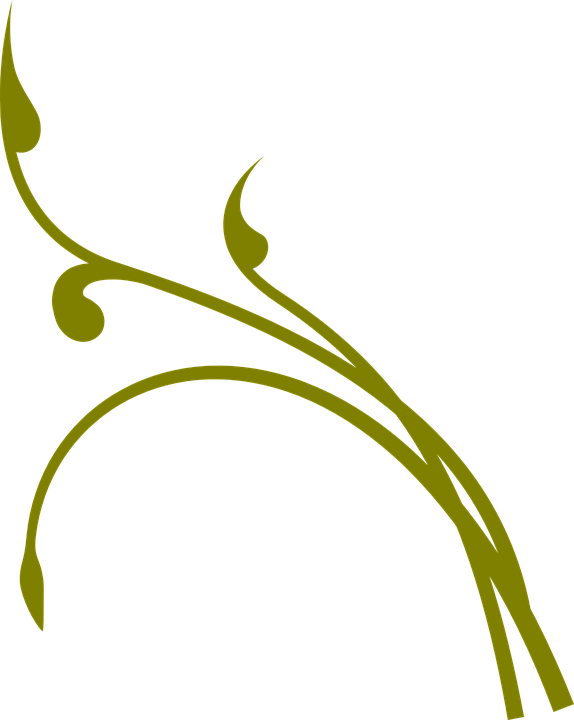 Flourish Clipart Vine - Vines Clipart Png (574x720), Png Download