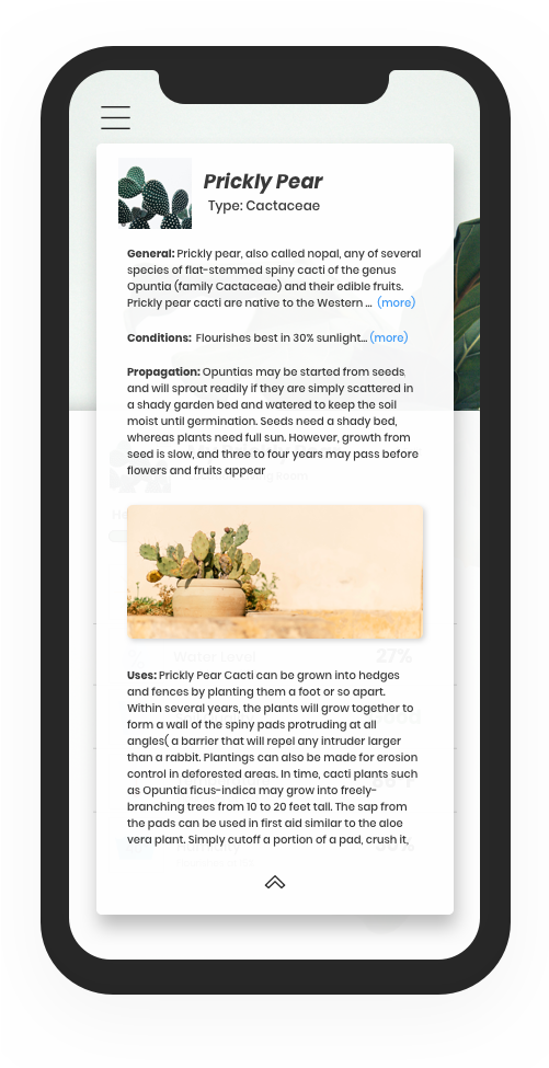 Plant Profile Information (500x1000), Png Download
