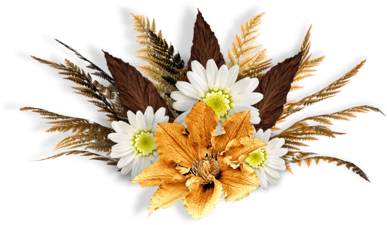 Tubes Fleurs Png Fleurs (800x468), Png Download