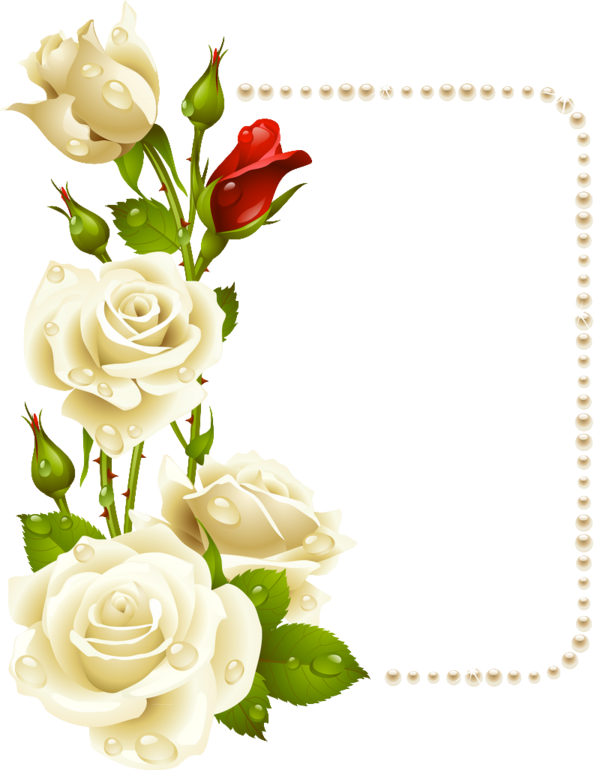 600 X 770 4 - Marco De Rosas Blancas (600x770), Png Download