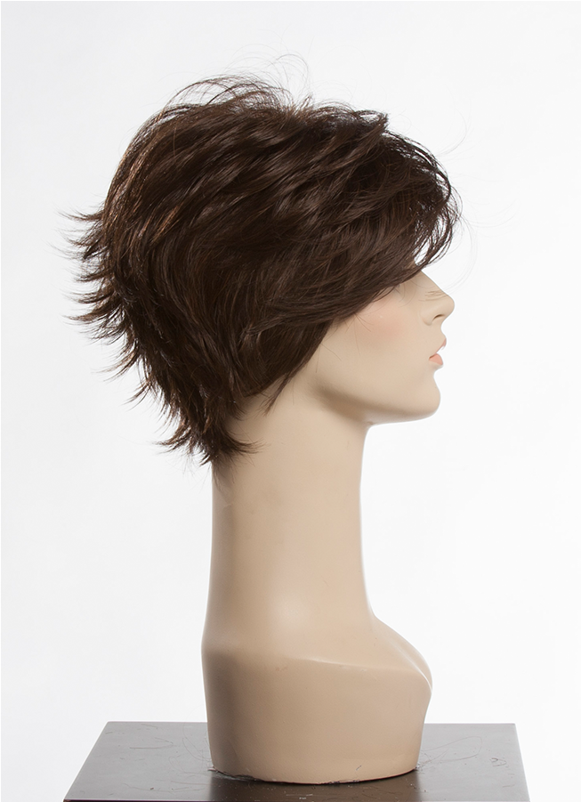 Raquel Welch Fascination Synthetic Wig - Wig (900x900), Png Download