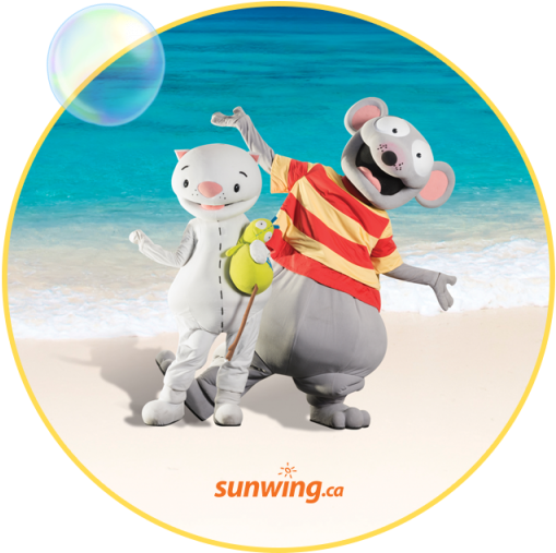 Vacation Package - Toupi Et Binou Deguisement (668x506), Png Download