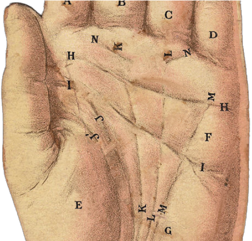 Hand Clipart Vintage - Pamistri Png (640x480), Png Download