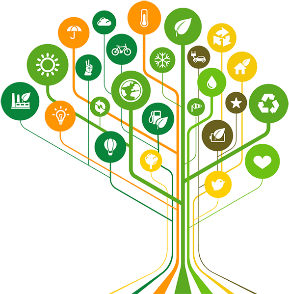 With Enviro-waste, You Get A Waste Management Partner - Circles In Brain (604x600), Png Download