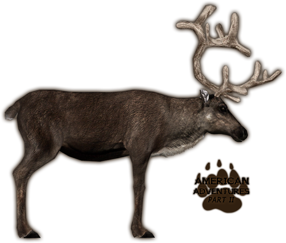 Caribougrants Jimmyzhoopz - Zoo Tycoon 2 Reindeer (1100x850), Png Download