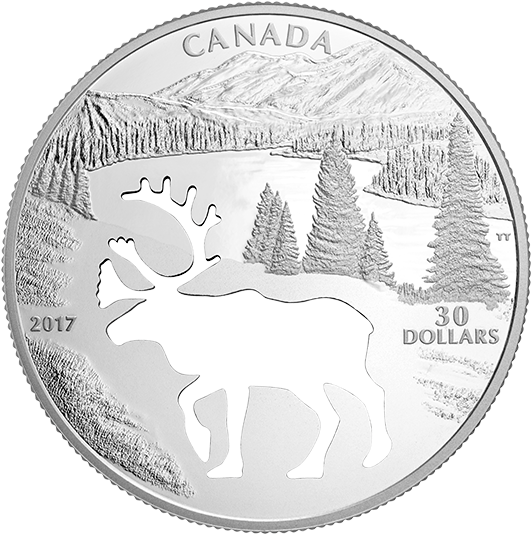 Endangered Animal Cutout - Woodland Caribou Cutout (570x570), Png Download