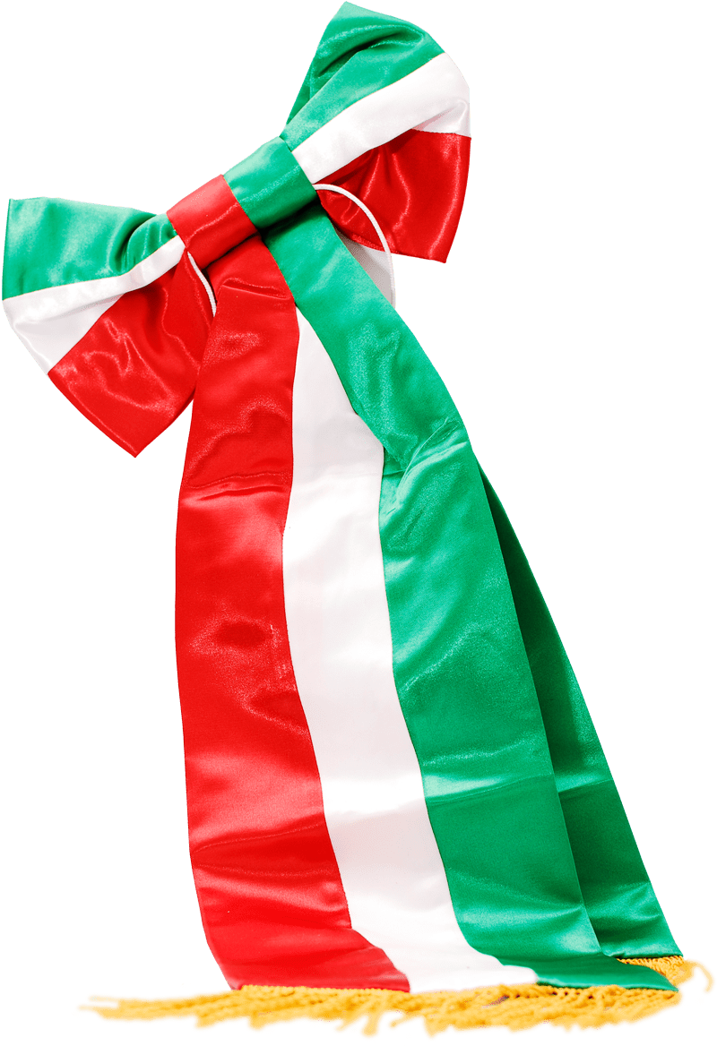 Moño Tricolor Para Bandera - Flag (1200x1200), Png Download