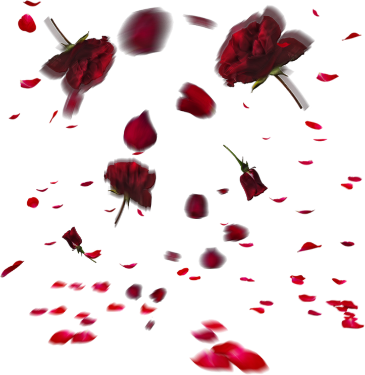 Rose Sticker - Portable Network Graphics (1024x1024), Png Download