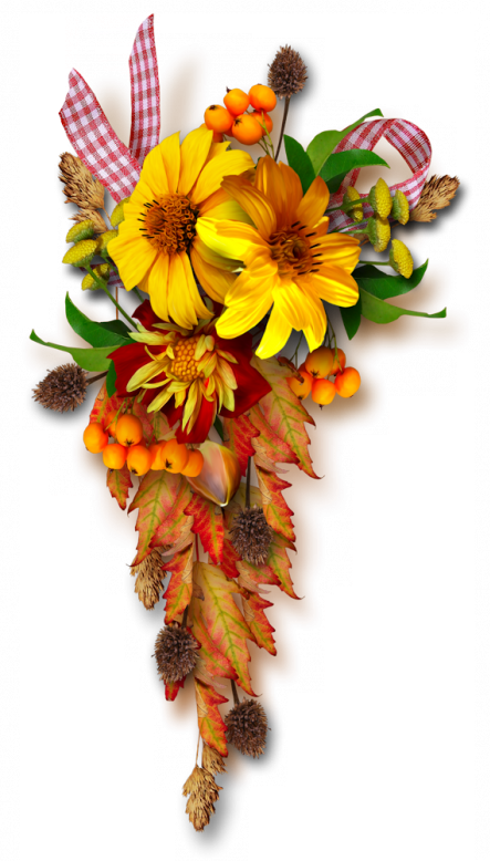 Fall - Tubes Fleurs D Automne (443x778), Png Download