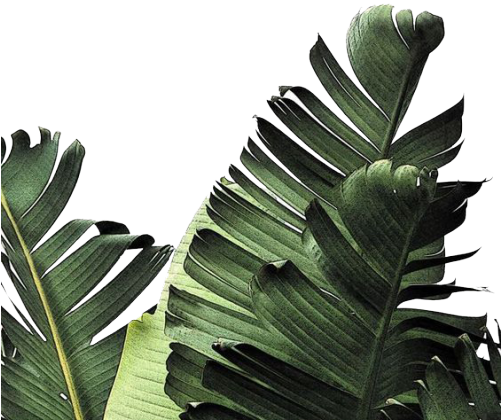 Minimalist Background Png